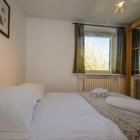 Androsace Apartment