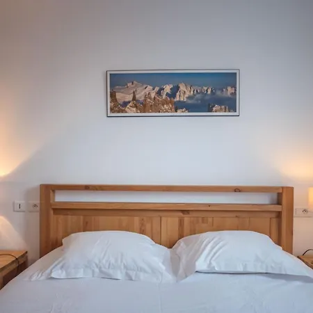 Androsace Apartment *