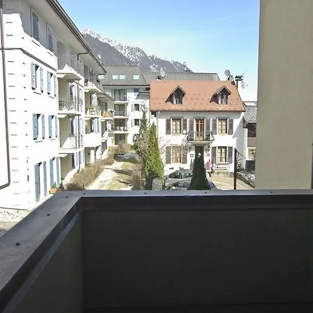 Androsace Chamonix